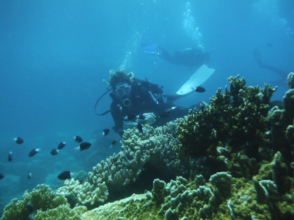 Hapier Villa Nha Trang Dış mekan fotoğraf